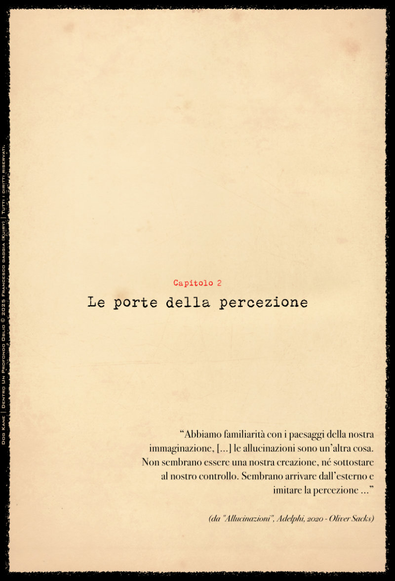 Dog Kane | Dentro un profondo oblio - Pag.13